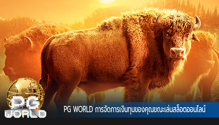PG WORLD การจัดการเงินทุนของคุณขณะเล่นสล็อตออนไลน์